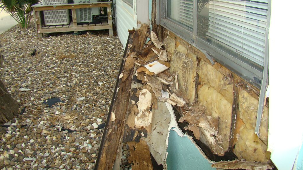 EXPOSED ROTTED WOOD FRAMING